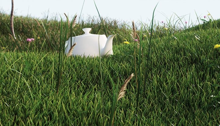 Free 3d Model Grass Vizpeople Blog