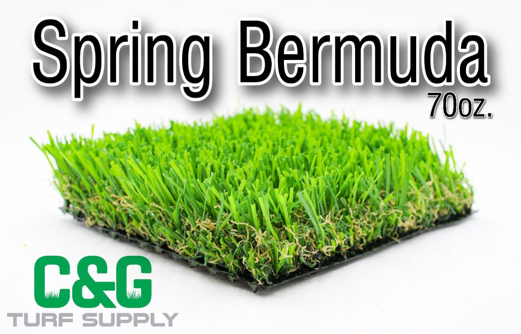 SPRING BERMUDA 70 OZ C&G Turf Supply