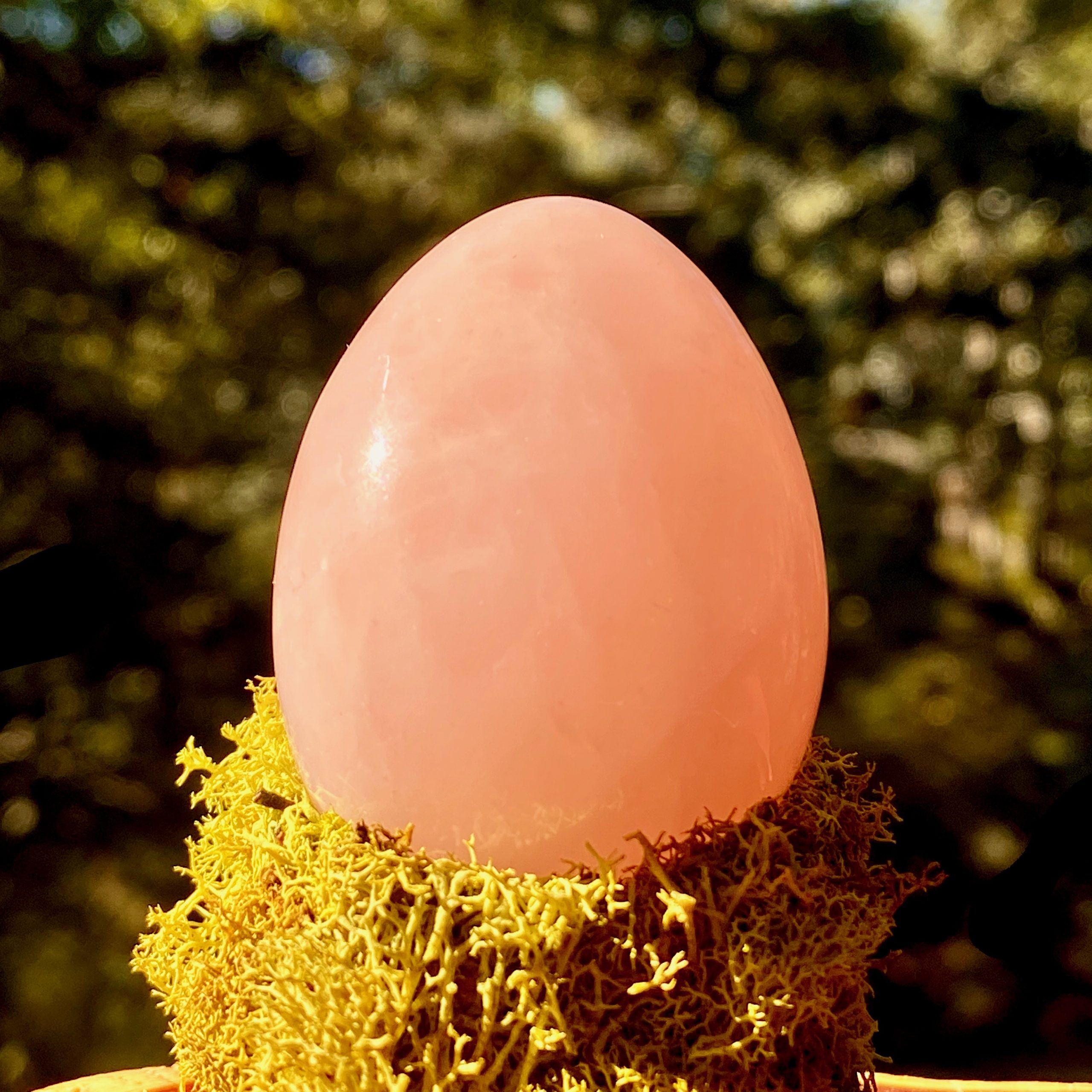 Yoni Eggs Roots Shoppe