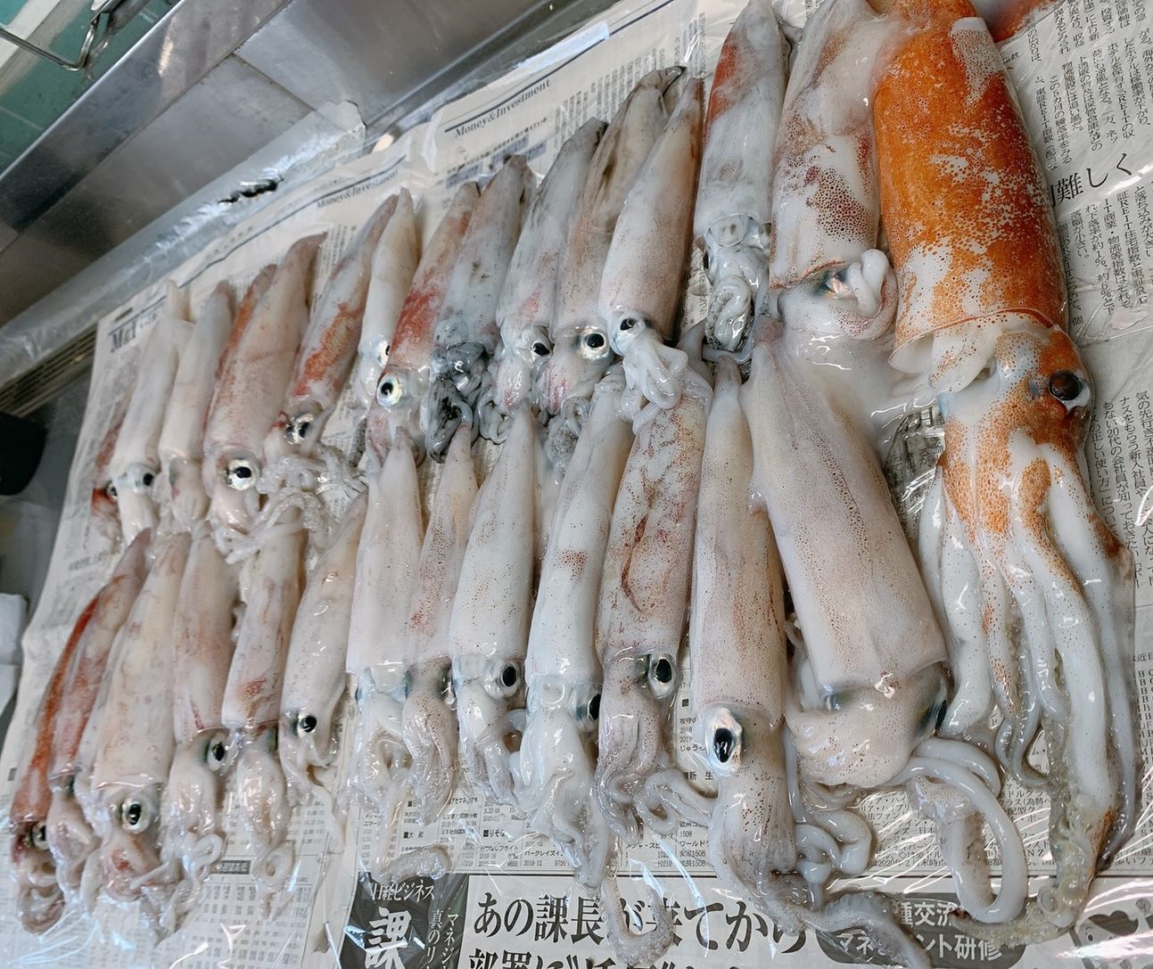 船釣りの持ち物リスト 2020年 イカメタル編 C.HBlog