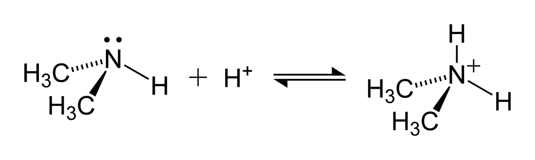Dimethylammoniumformation2D