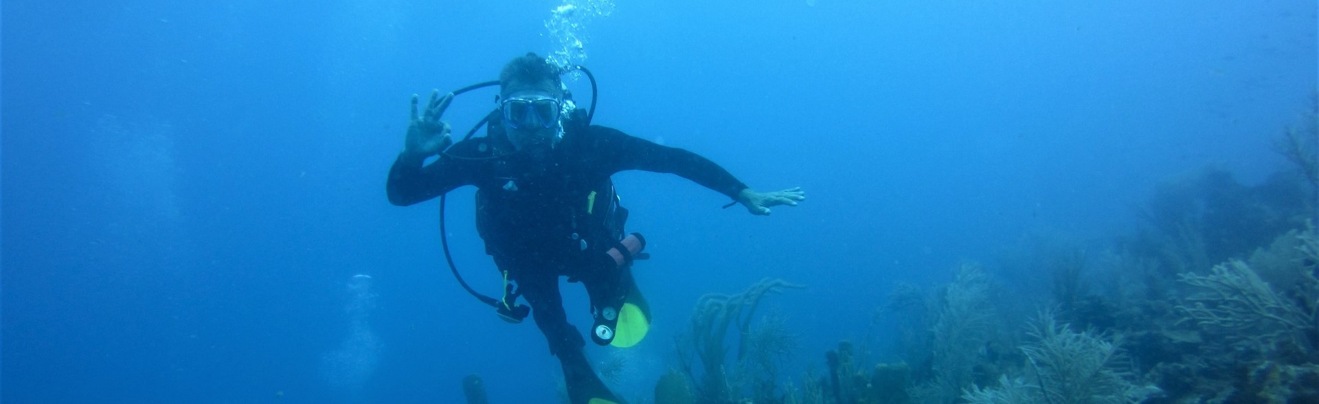 Belize Scuba Diving Packages Belize Snorkeling Vacations All Inclusive