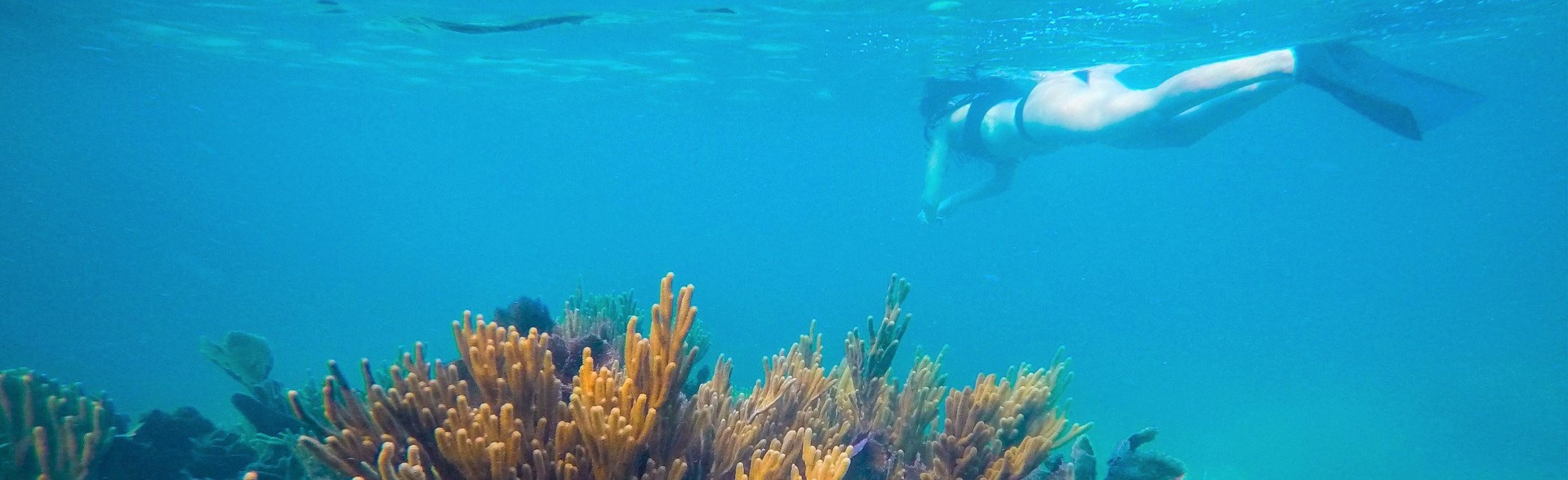 Belize Scuba Diving Packages Belize Snorkeling Vacations All Inclusive