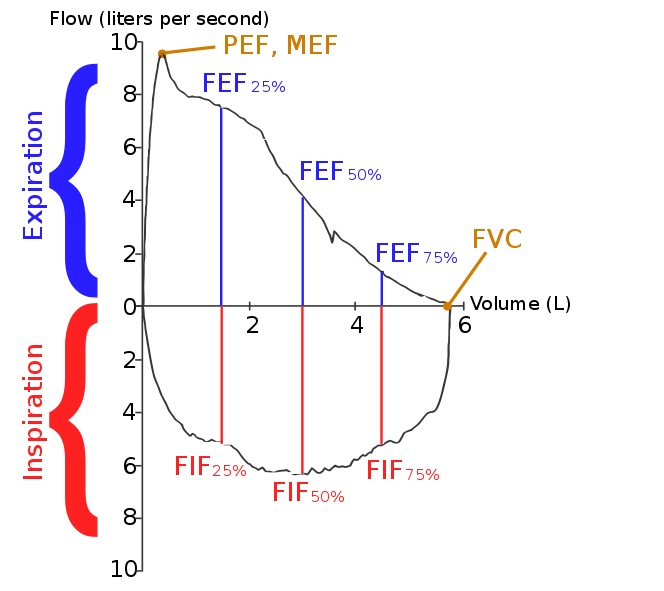 Hô hấp ký Phòng khám đa khoa chuyên điều trị Hô Hấp và Rối Loạn Giấc Ngủ