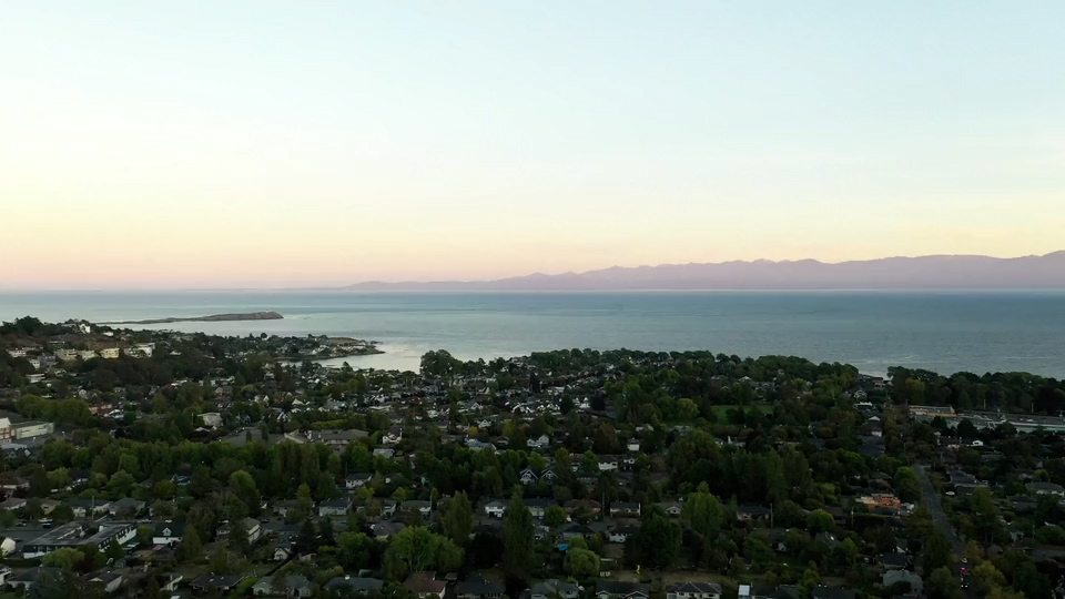 Chace Whitson Saanich Peninsula Real Estate Expert About