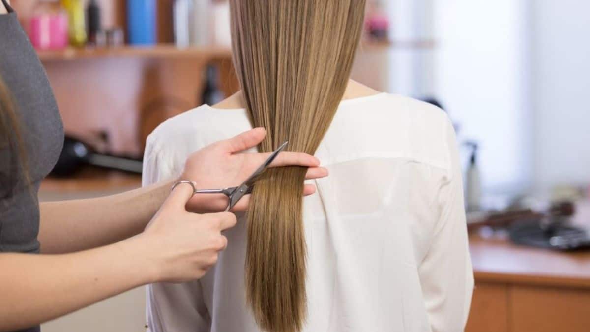 Free Haircut at Great Clips with Hair Donation to Locks of Love