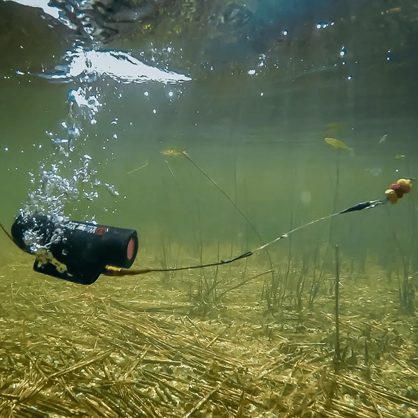 Waterwolf Underwater Fishing Camera 2.0 1080k Chachocarp