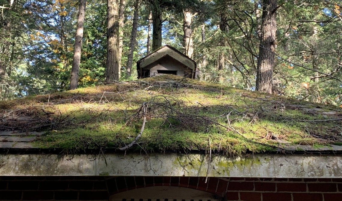 Moss Removal Victoria BC Chadam Cleaning