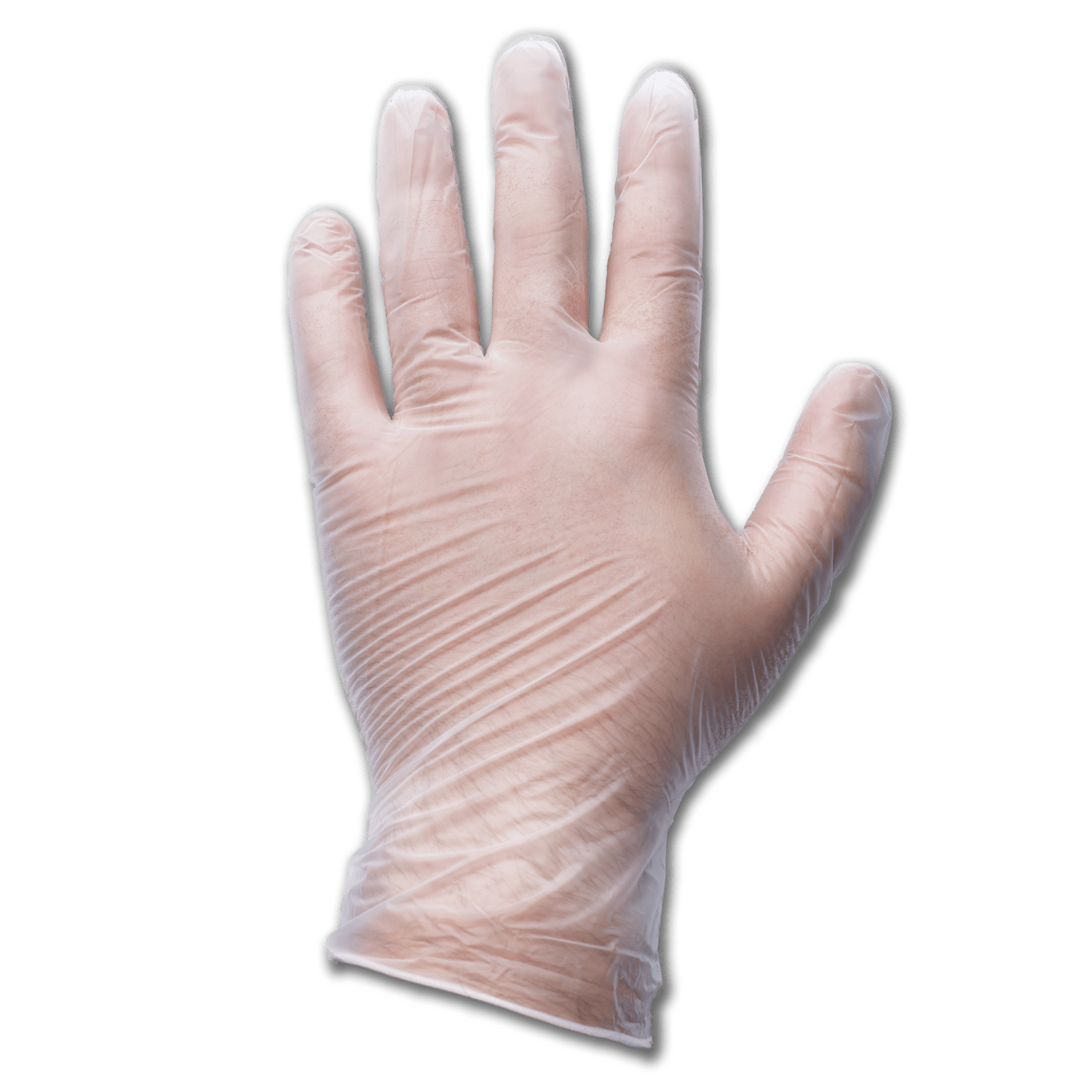 Chadwell Supply. DISPOSABLE VINYL GLOVES LARGE 100/BX