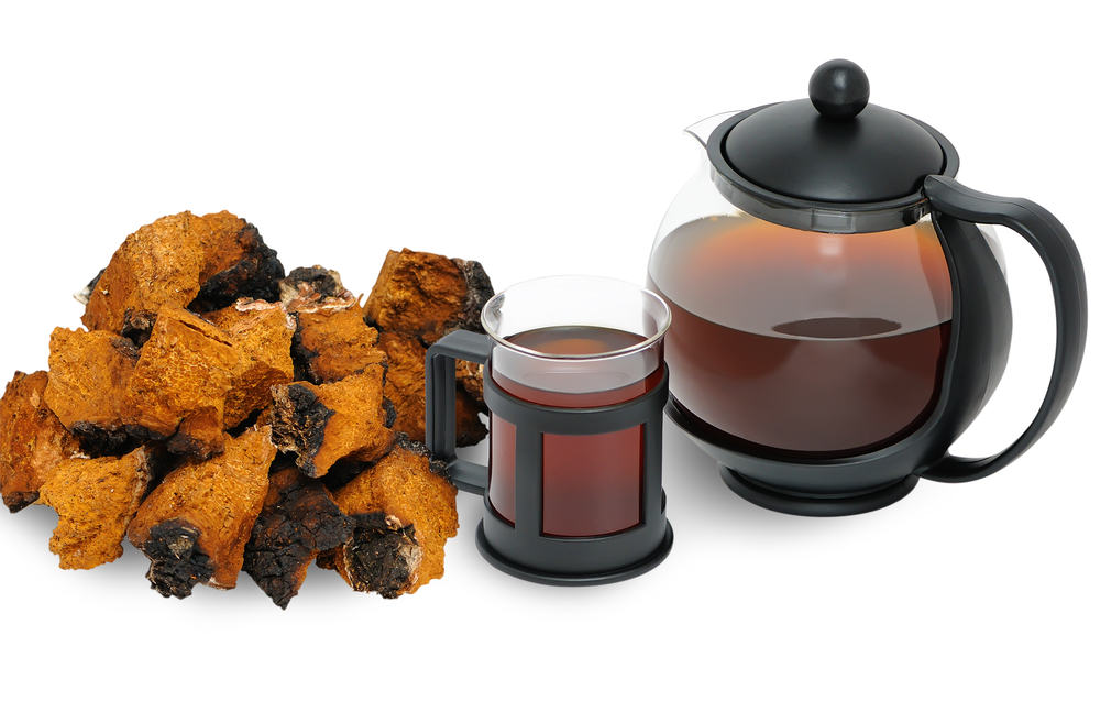 Why Chaga Tea is Good For You