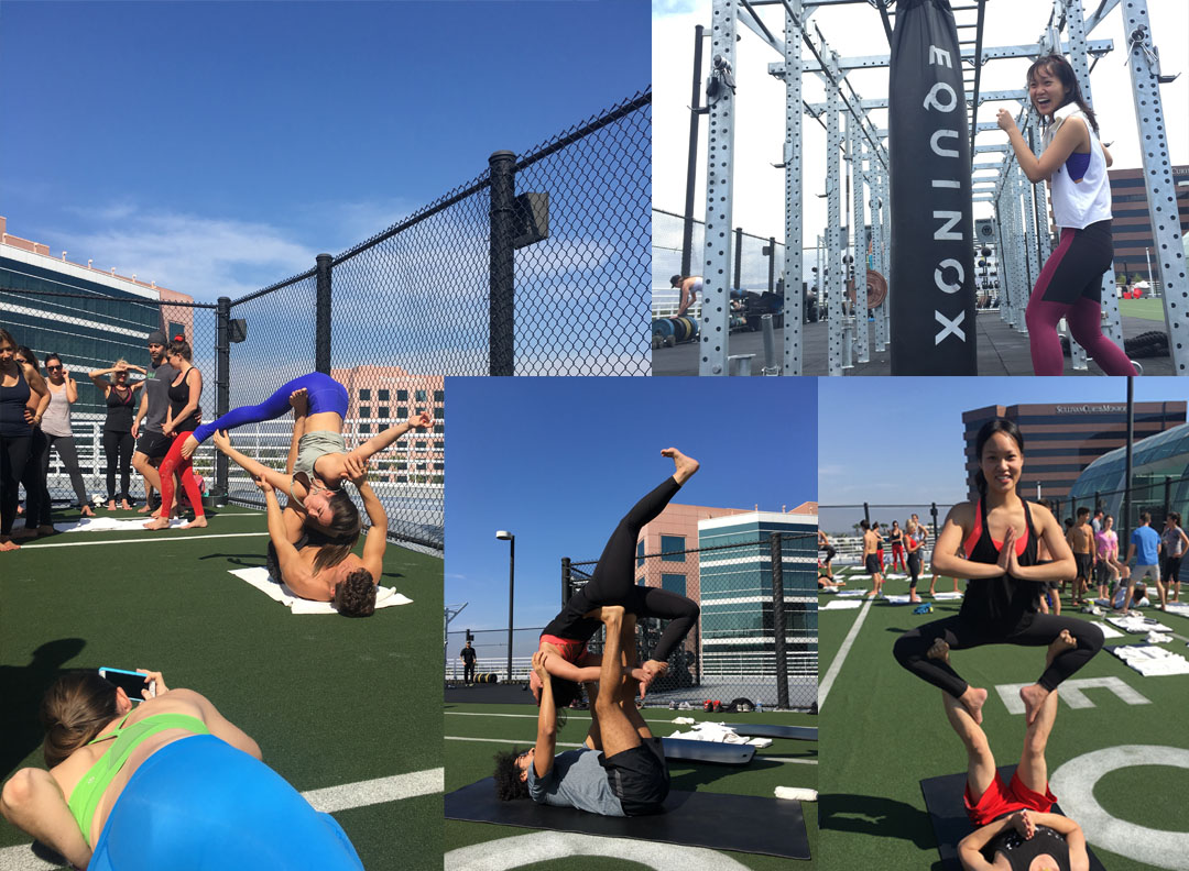 Equinox Irvine Chai Bear World