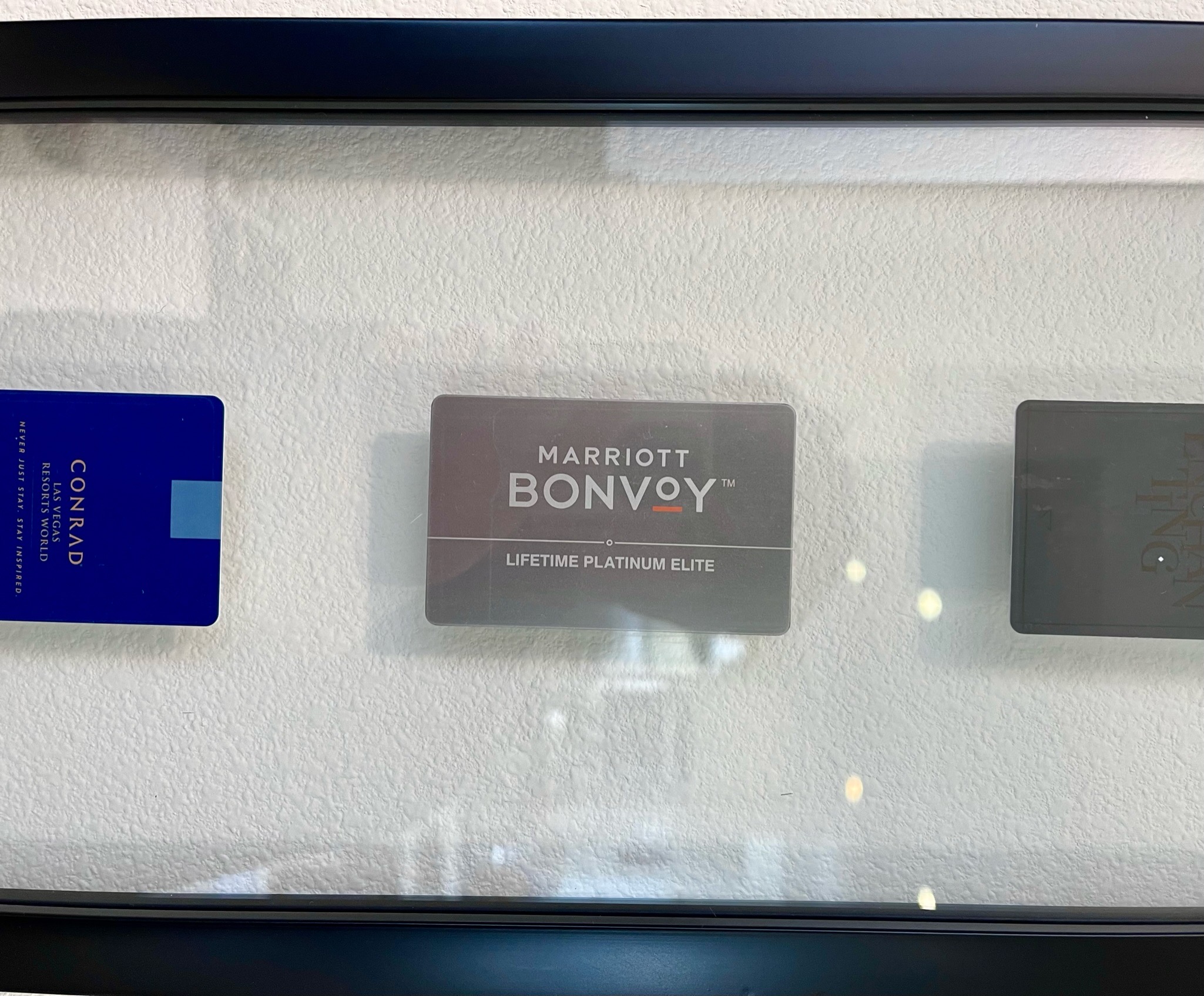 Marriott Lifetime Platinum Elite Gifts Chai Bear World