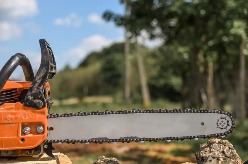 Chainsaw Chain Types: Discover the Ideal Chain for Your Needs