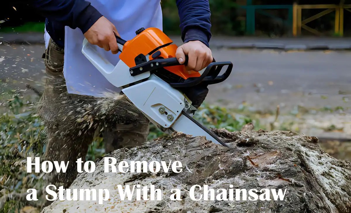 How to Remove a Stump With a Chainsaw Learn Now