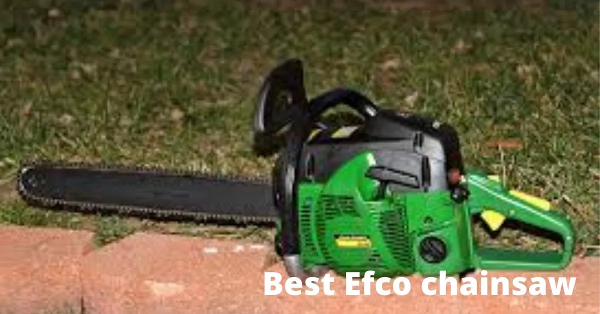 Best Efco Chainsaws Chainsawpedia