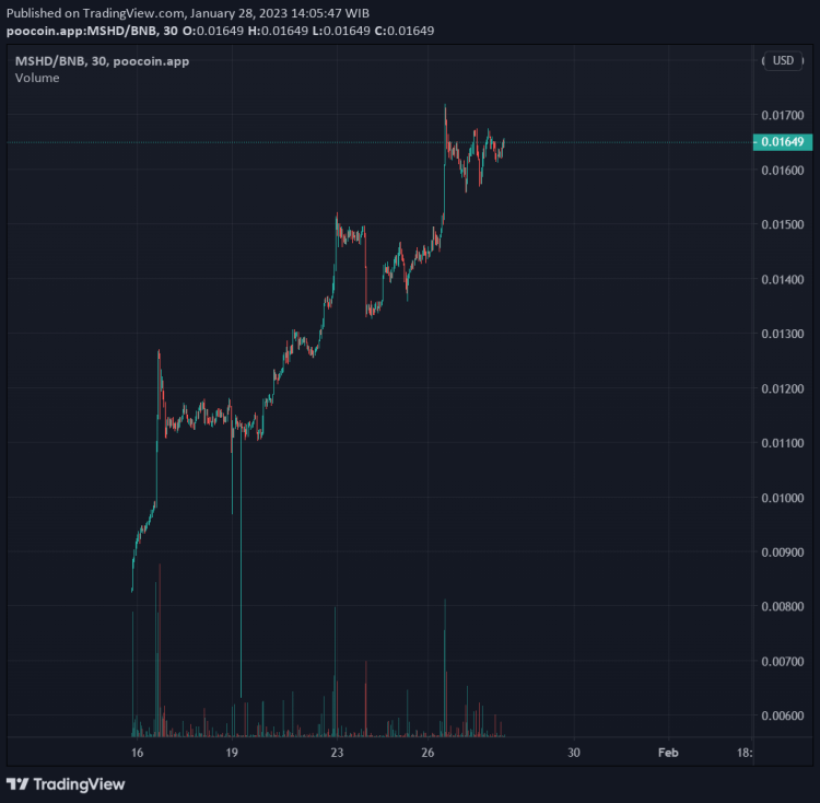 MASHIDA Melakukan Pertemuan Offline dengan Komunitasnya di Bali, Seraya Memberikan Pengumuman
