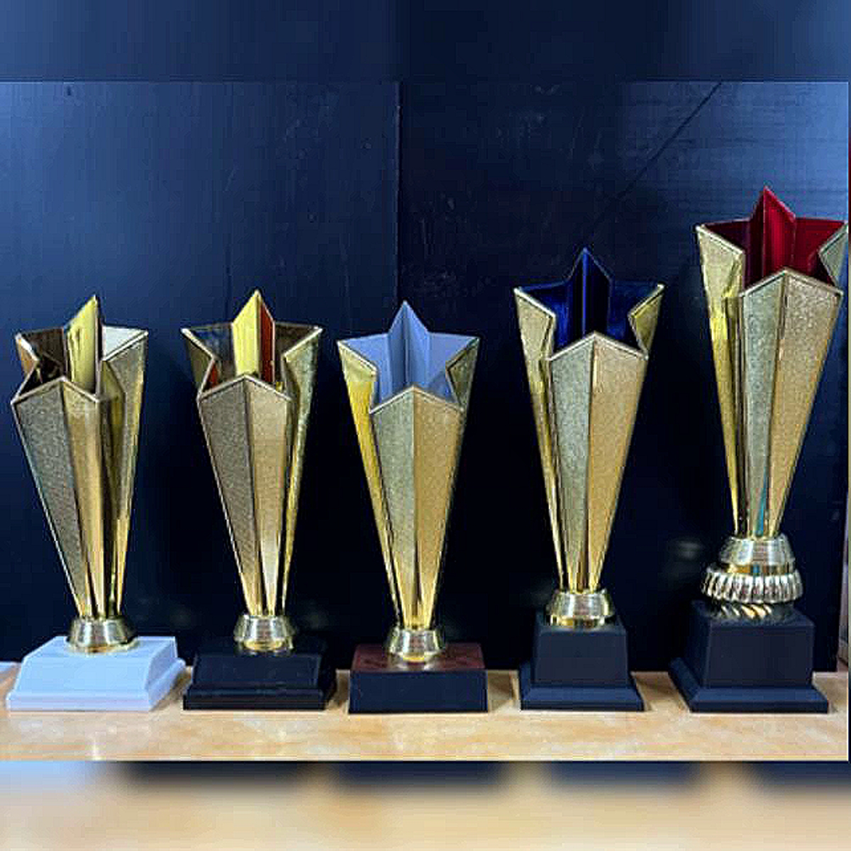 CP330 FWB – Chalcass Medals & Trophies Assoc. Ltd