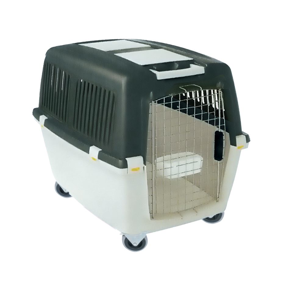 Caixa de Transporte Gulliver 4 Chalesco