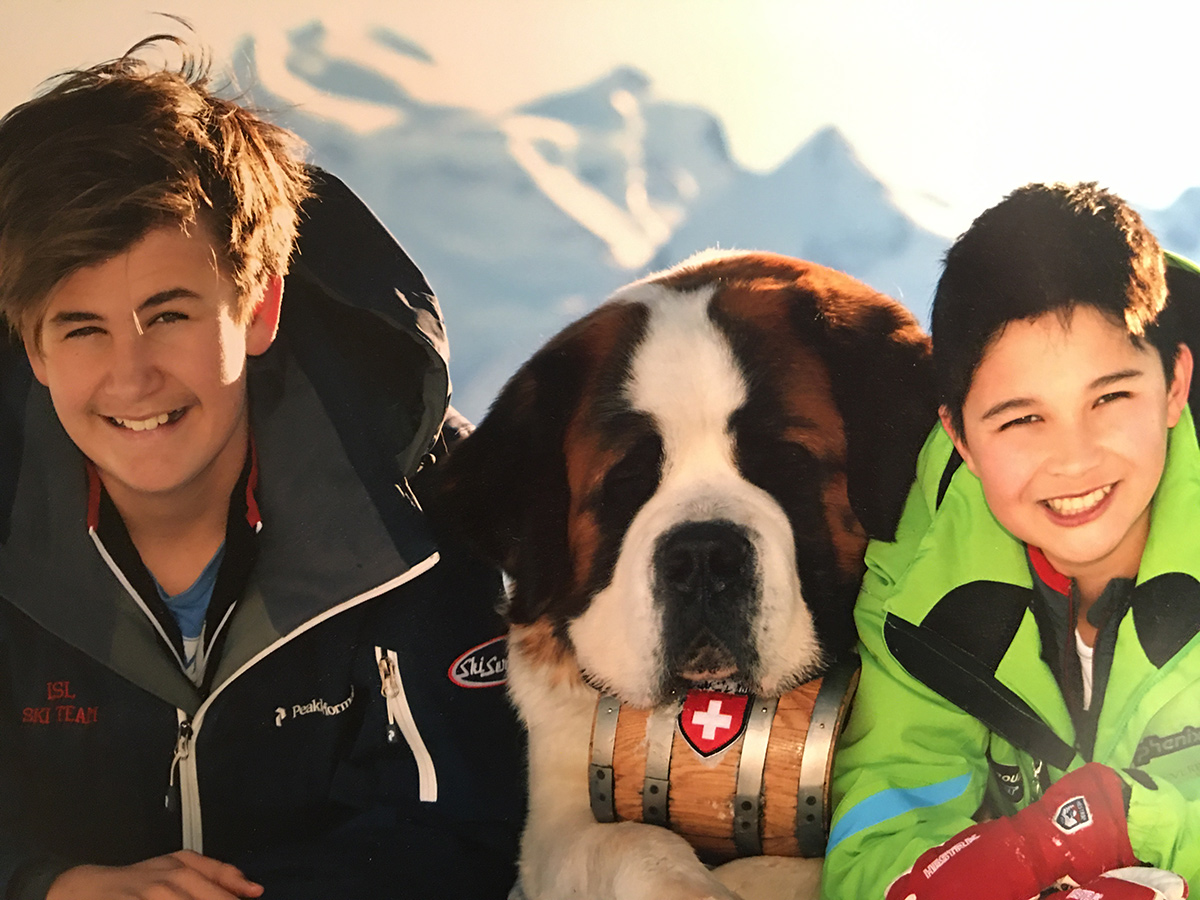 St Bernard Dogs Chalet Spa Verbier