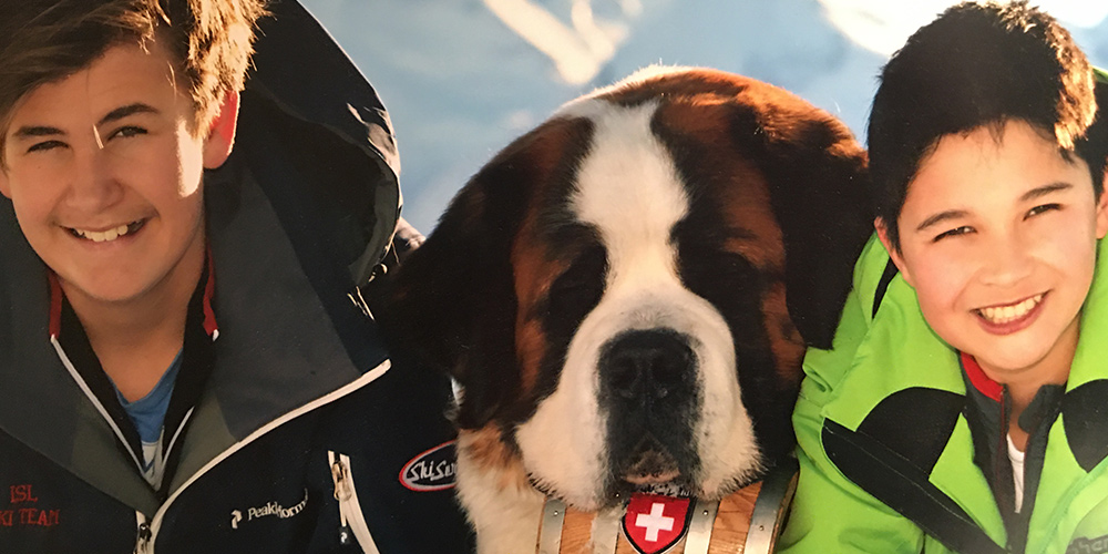 Are St Bernards Good Dogs