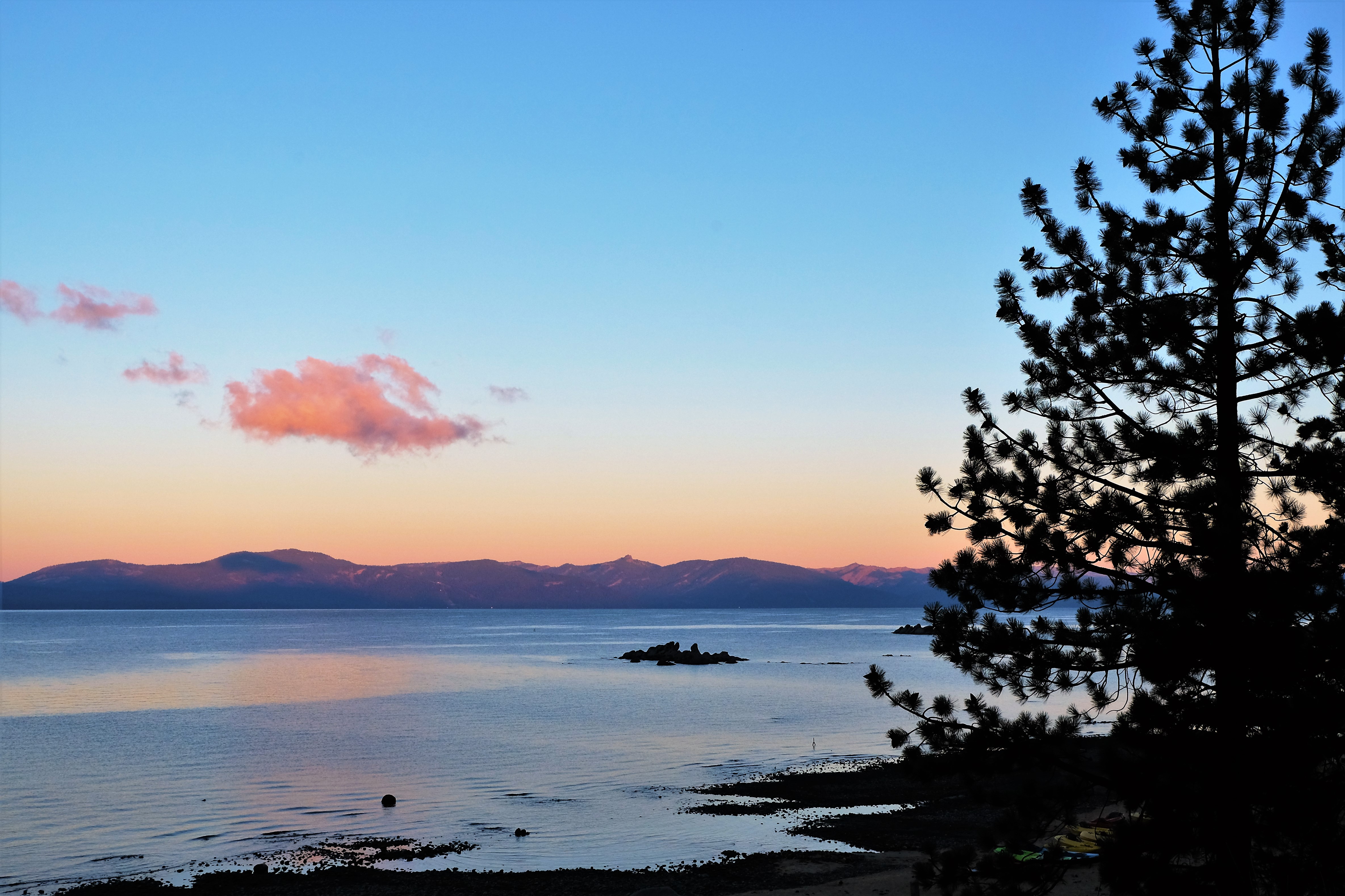 Ethereal Blue Chalice Photography