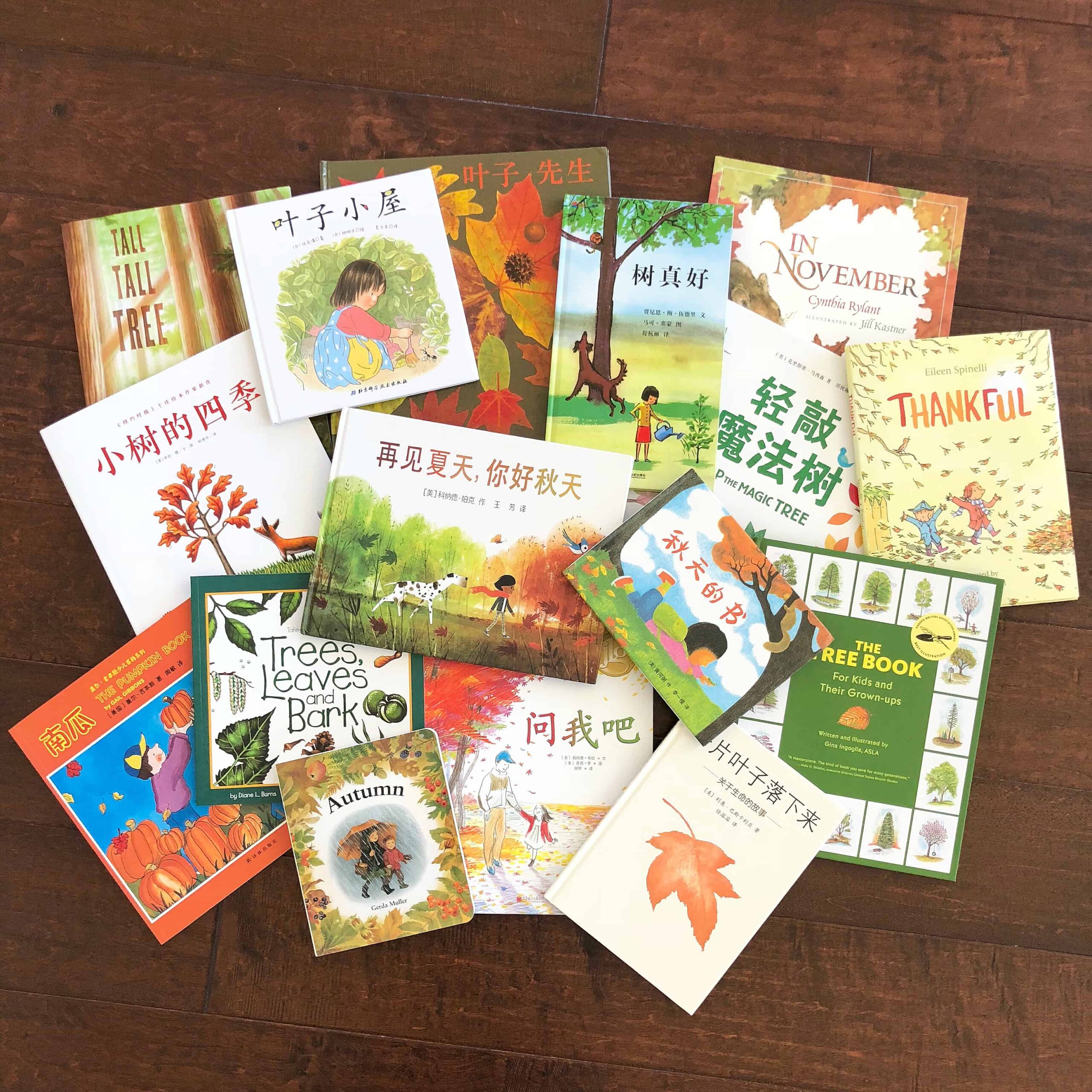 Favorite Chinese Books for Children Learning chinese