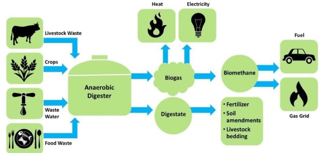Thesis 2018 Identifying barriers and enablers of the biogas value