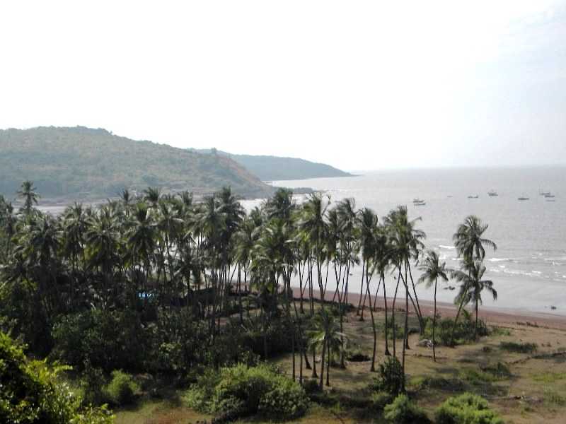 Top 10 Tourist Attractions in Palghar