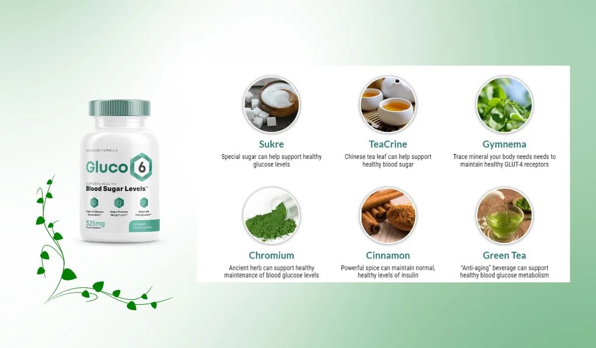 Gluco6 Reviews Can It Live Up to Its Promises? Discover the Truth