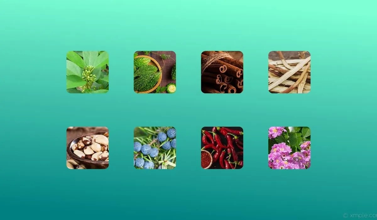 I Took Gluco Shift for 3 Months Here’s What Happened!