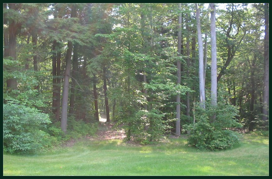 Door County Real Estate, Chambers Island Land For Sale