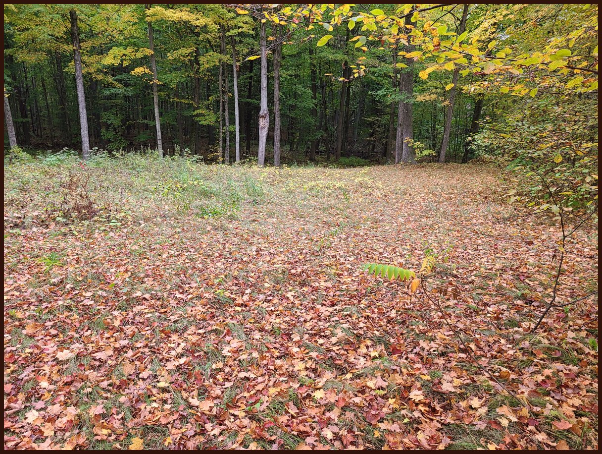 Door County Real Estate, Chambers Island Land For Sale