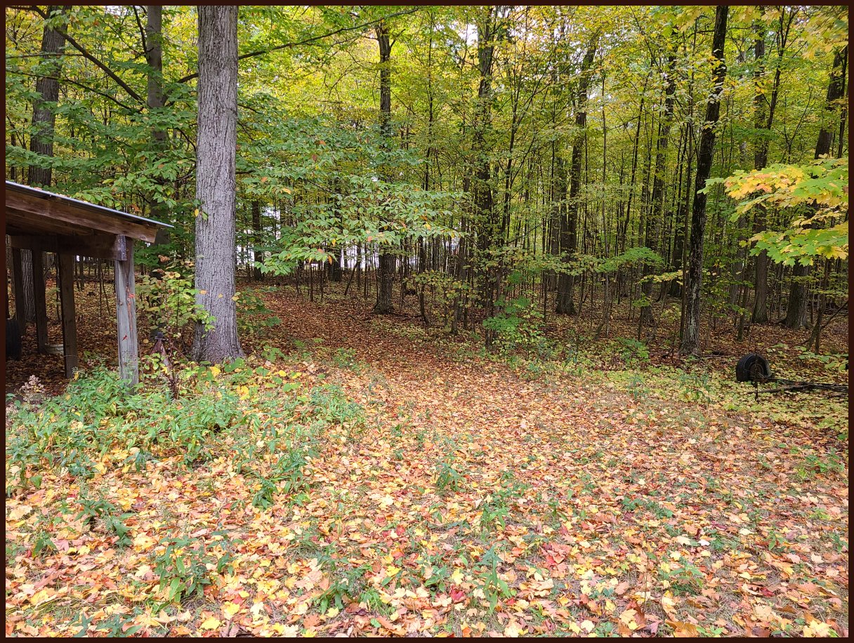 Door County Real Estate, Chambers Island Land For Sale