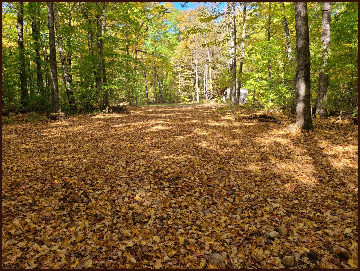 Chambers Island Land Door County, WI, Wisconsin FOR SALE by Owner Chambers Island Real Estate