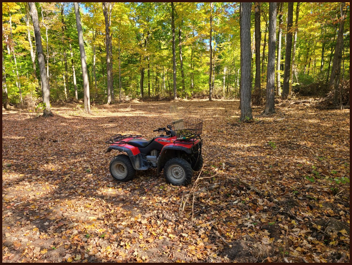 Door County Real Estate, Chambers Island Land For Sale