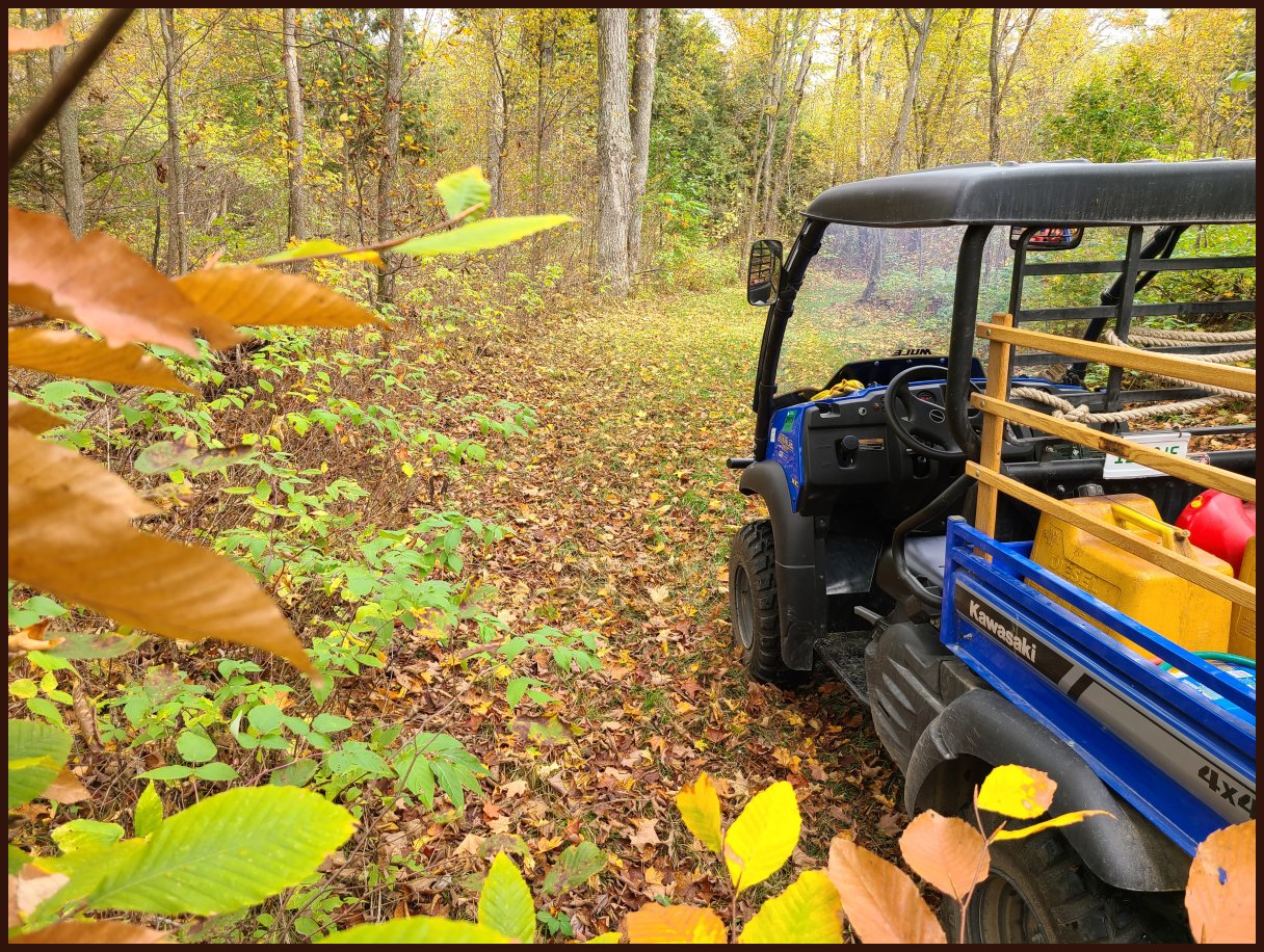Door County Real Estate, Chambers Island Land For Sale