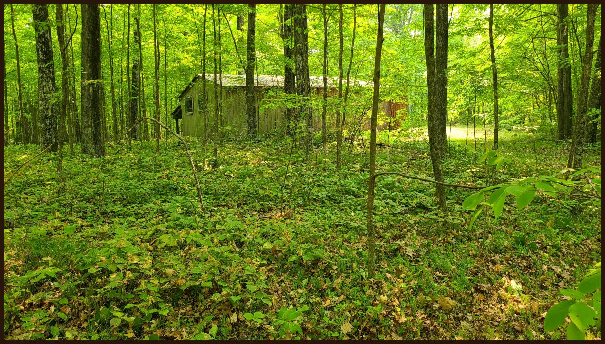 Door County Real Estate, Chambers Island Land For Sale