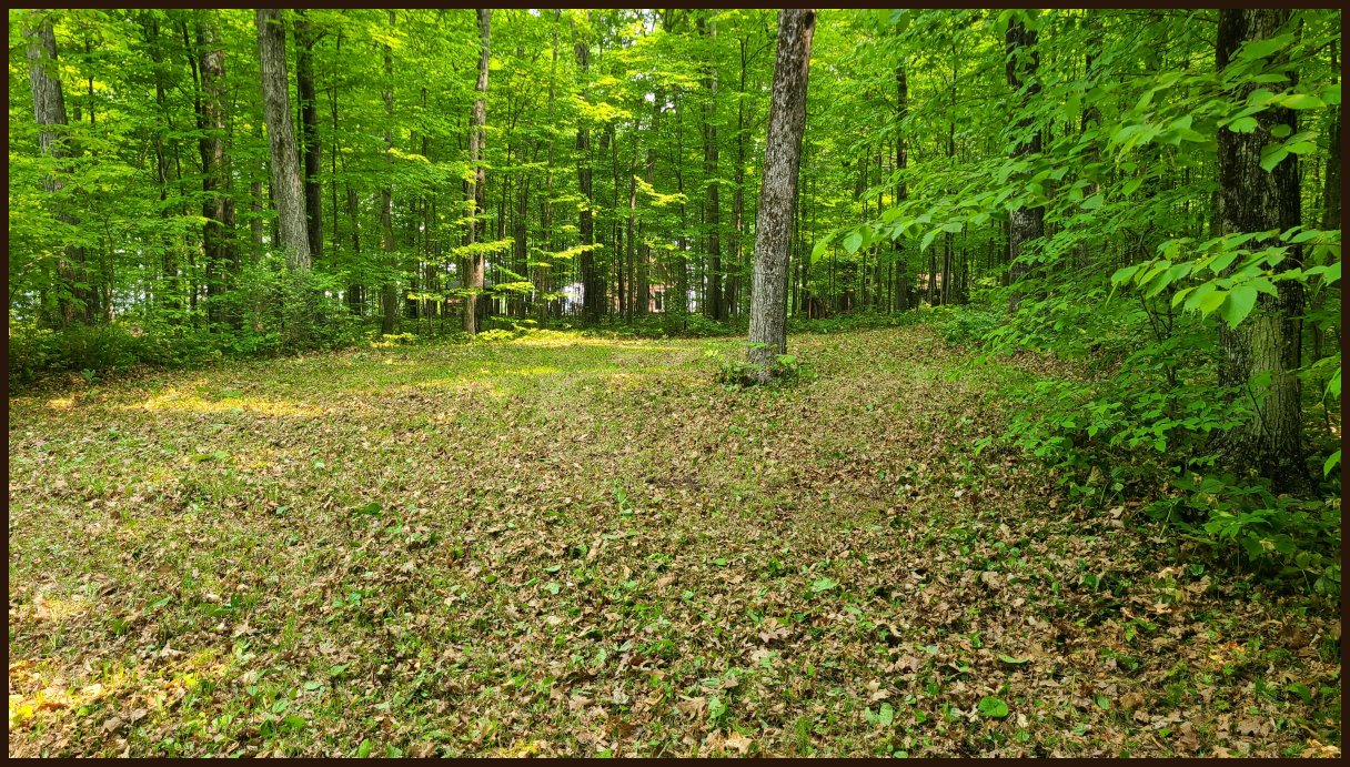Door County Real Estate, Chambers Island Land For Sale