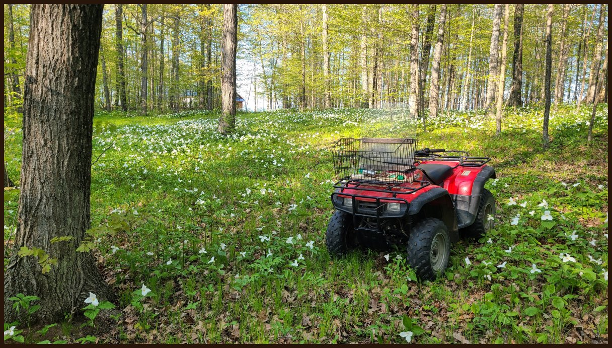 Chambers Island Land Door County, WI, Wisconsin FOR SALE by Owner Chambers Island Real Estate