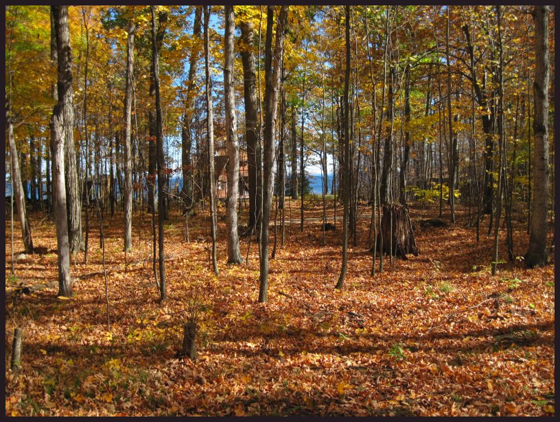 Door County Real Estate, Chambers Island Land For Sale