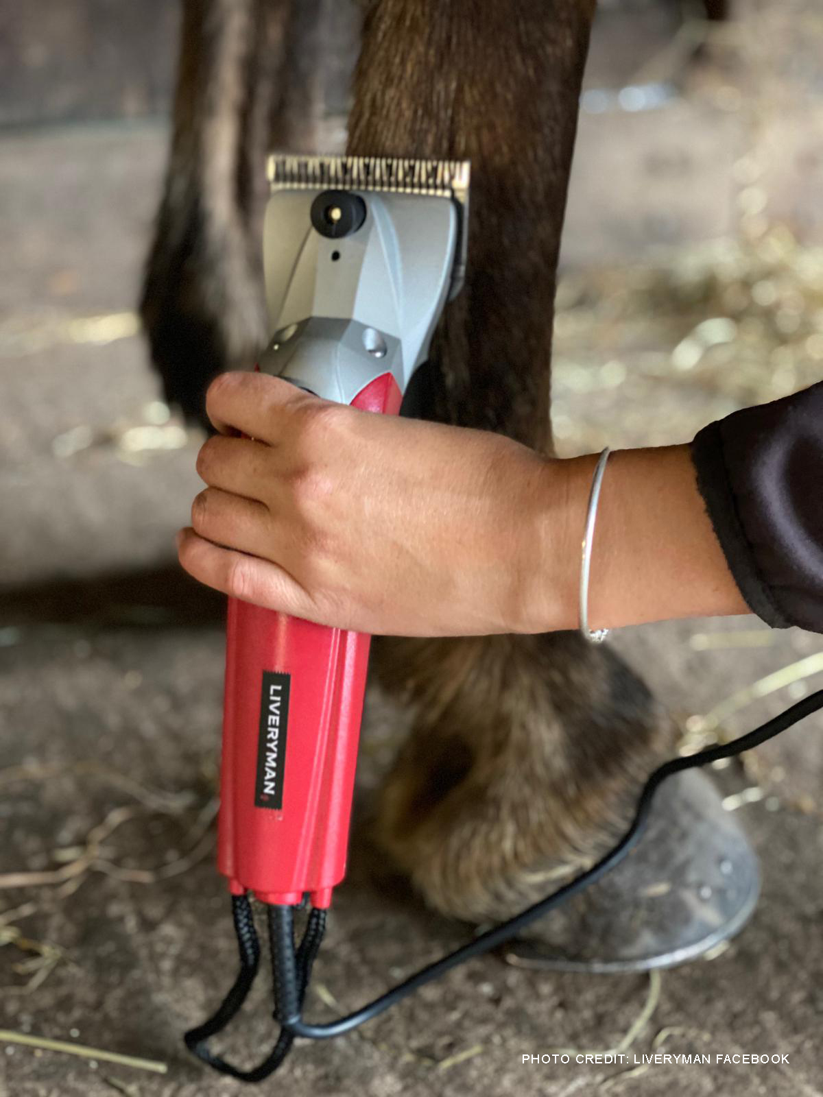 Liveryman Black Beauty Clipper Chambers Farm & Equestrian Store