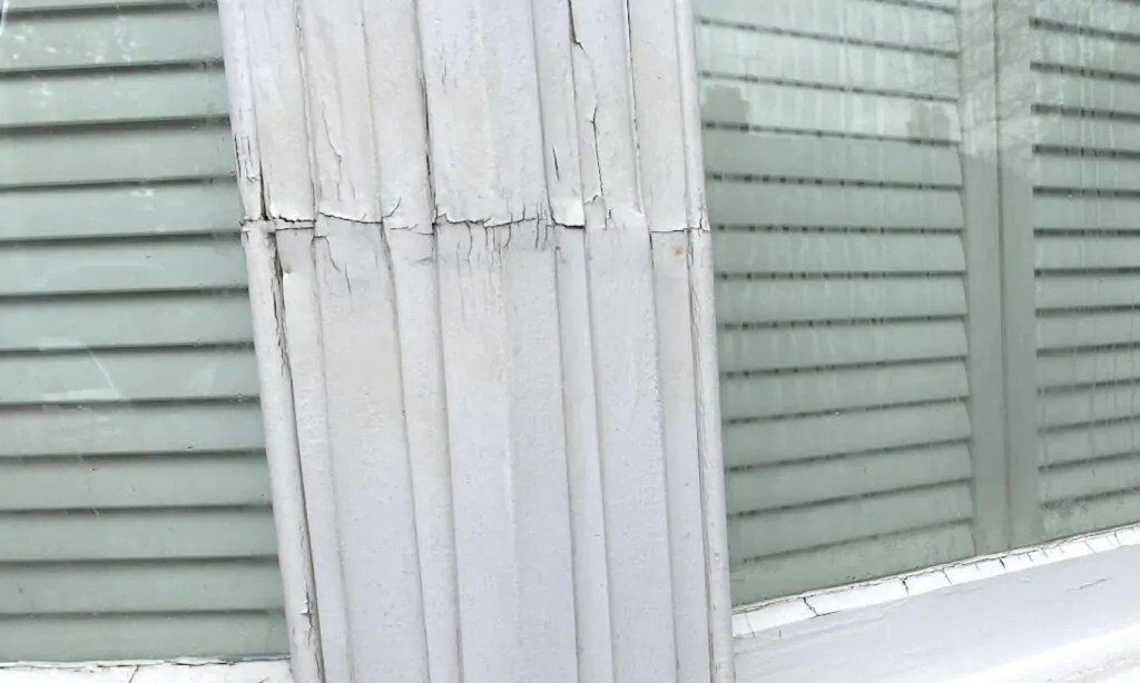 Rotten wooden window frames Why does rot happen and how to fix it.