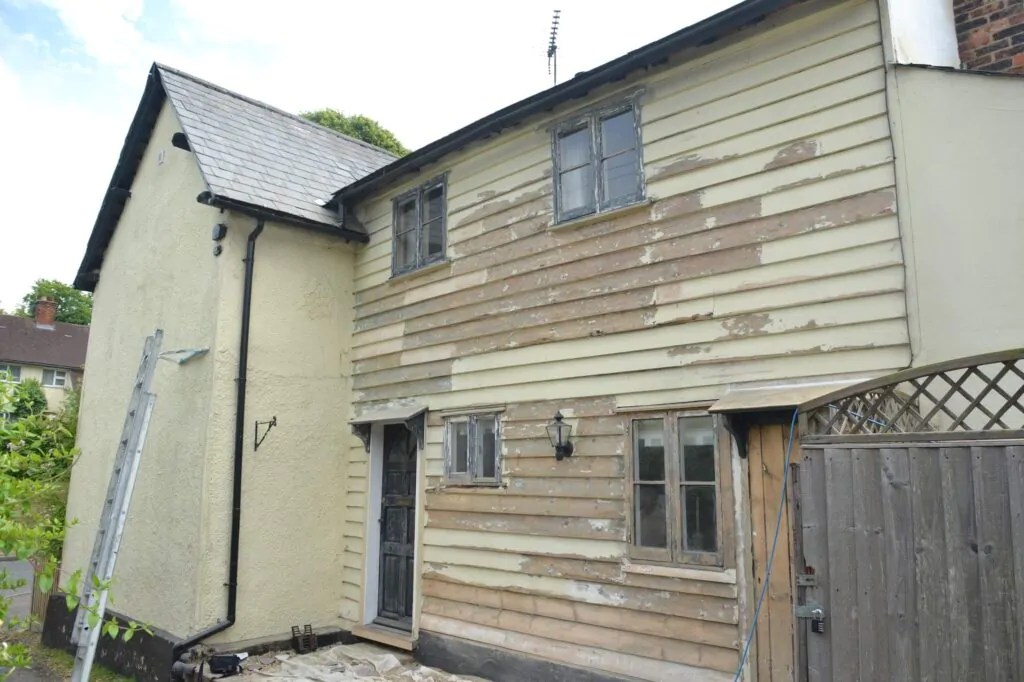 Sandpapers for Wood & Paint Removal Expert