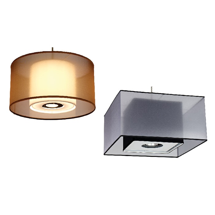 Shadow Box Chameleon Lighting