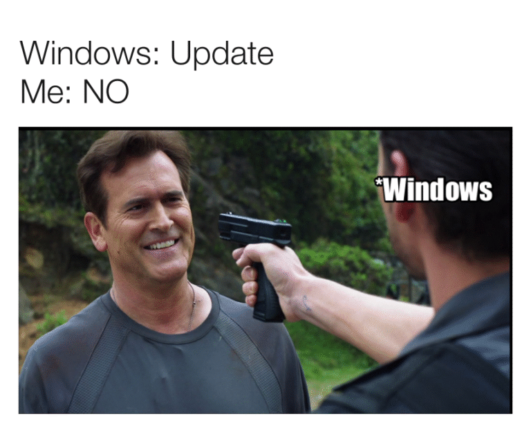 Windows update meme Chameleon Memes
