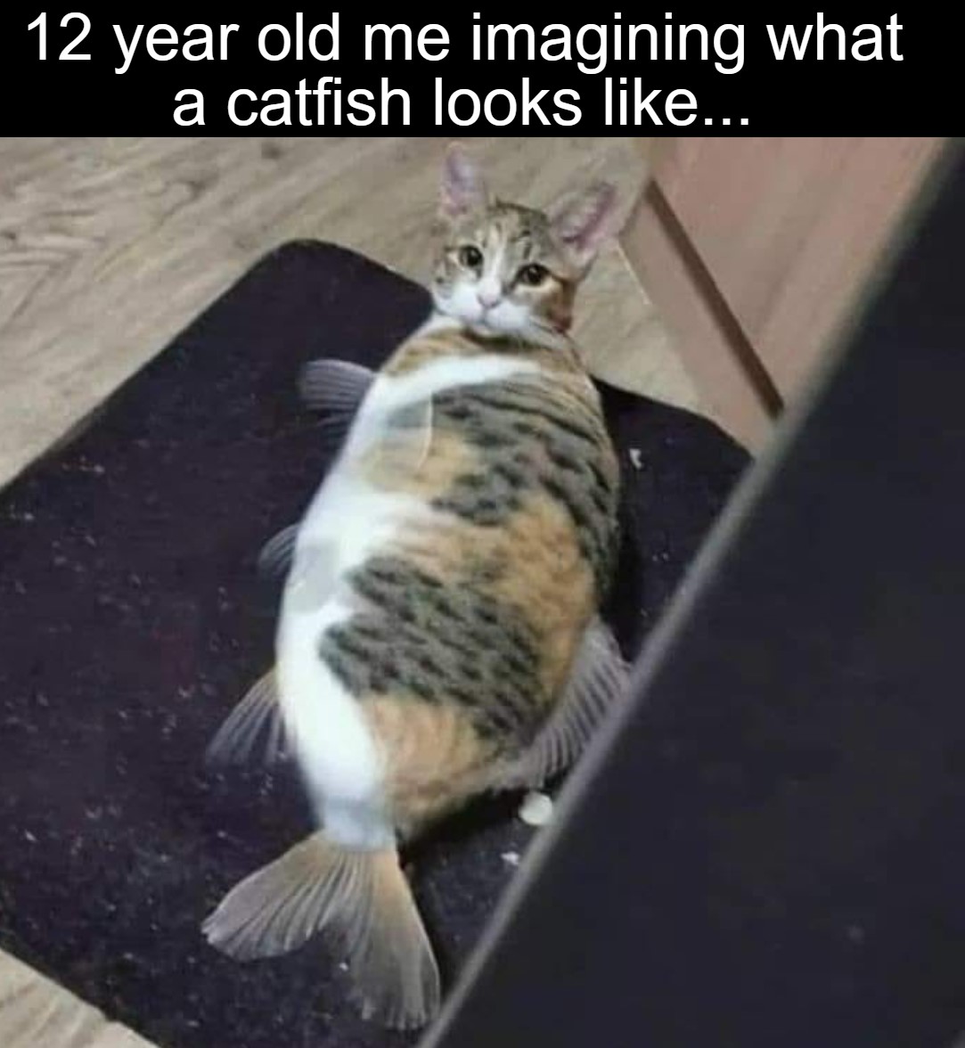 Funny Catfish