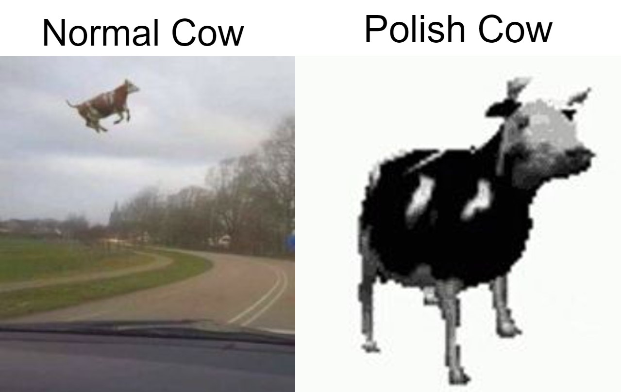 Yes, Normal Cow Can Fly! Animals