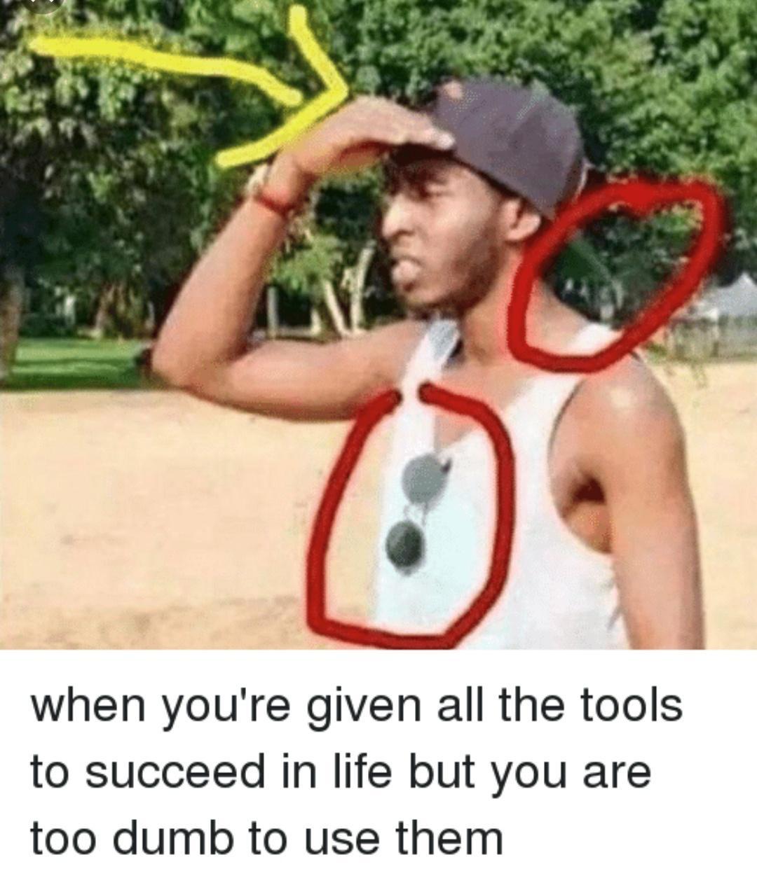 20 Bottom Shelf Memes For Your Top Shelf Occasions Funny