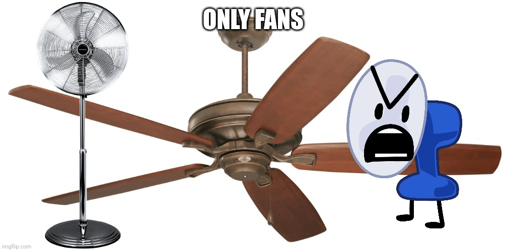 25 Fan Memes That Will Blow You Away With Laughter & Breezy Vibes - Funny