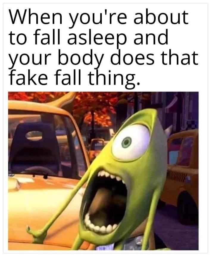 When You're About To Fall Asleep Funny